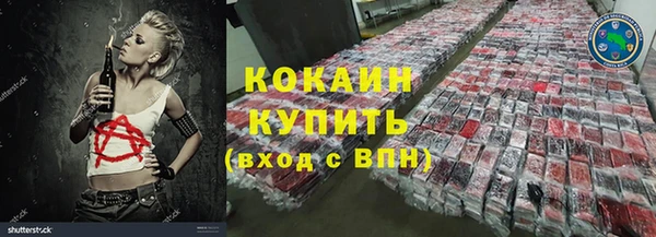 индика Семёнов